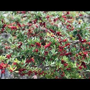 Meet your Posher, Vivek